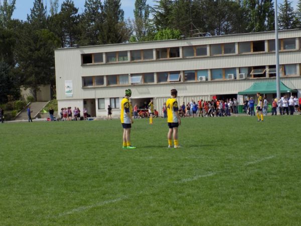 Premi per vedere l'immagine alla massima grandezza