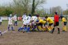 DSC01419.jpg