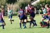 DSC01444.jpg
