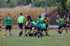 DSC02964~0.JPG