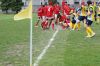 Nome del file=DSC06857.JPG
Dimensione del file=196KiB
Dimensioni=900x598
Aggiunta il=Mag 18, 2014 DSC06857.JPG