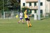 Nome del file=DSC06924.JPG
Dimensione del file=171KiB
Dimensioni=900x598
Aggiunta il=Mag 26, 2014 DSC06924.JPG