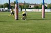 Nome del file=DSC06928.JPG
Dimensione del file=204KiB
Dimensioni=900x598
Aggiunta il=Mag 26, 2014 DSC06928.JPG