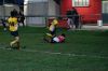 Nome del file=DSC07304.JPG
Dimensione del file=155KiB
Dimensioni=900x598
Aggiunta il=Nov 30, 2014 DSC07304.JPG