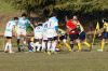Nome del file=DSC07440.JPG
Dimensione del file=230KiB
Dimensioni=800x532
Aggiunta il=Gen 25, 2015 DSC07440.JPG