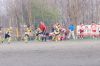 Nome del file=DSC07462.JPG
Dimensione del file=181KiB
Dimensioni=900x598
Aggiunta il=Mar 16, 2015 DSC07462.JPG