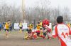 Nome del file=DSC07480.JPG
Dimensione del file=179KiB
Dimensioni=900x598
Aggiunta il=Mar 16, 2015 DSC07480.JPG