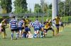 Nome del file=DSC07722.JPG
Dimensione del file=271KiB
Dimensioni=900x598
Aggiunta il=Mag 19, 2015 DSC07722.JPG
