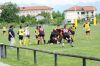 Nome del file=DSC07773.JPG
Dimensione del file=250KiB
Dimensioni=900x598
Aggiunta il=Mag 24, 2015 DSC07773.JPG
