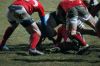 Nome del file=DSC09156.JPG
Dimensione del file=140KiB
Dimensioni=900x598
Aggiunta il=Gen 24, 2016 DSC09156.JPG
