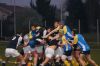 Nome del file=DSC09419.JPG
Dimensione del file=125KiB
Dimensioni=900x598
Aggiunta il=Mar 20, 2016 DSC09419.JPG
