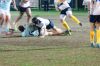 Nome del file=DSC09696.JPG
Dimensione del file=148KiB
Dimensioni=900x598
Aggiunta il=Mar 31, 2016 DSC09696.JPG
