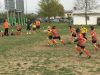 Nome del file=Villorba_03_aprile_2016_283529.JPG
Dimensione del file=180KiB
Dimensioni=1024x768
Aggiunta il=Apr 05, 2016 Villorba_03_aprile_2016_283529.JPG