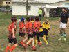 Nome del file=Villorba_03_aprile_2016_283629.JPG
Dimensione del file=140KiB
Dimensioni=1024x768
Aggiunta il=Apr 05, 2016 Villorba_03_aprile_2016_283629.JPG
