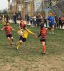 Nome del file=Villorba_03_aprile_2016_284029.JPG
Dimensione del file=158KiB
Dimensioni=768x849
Aggiunta il=Apr 05, 2016 Villorba_03_aprile_2016_284029.JPG