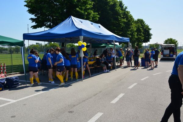 Premi per vedere l'immagine alla massima grandezza