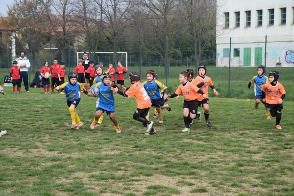 Premi per vedere l'immagine alla massima grandezza