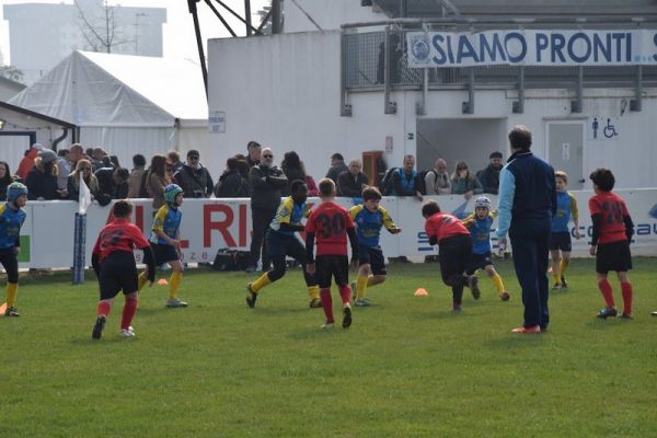 Premi per vedere l'immagine alla massima grandezza