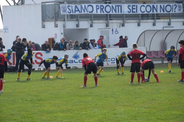 Premi per vedere l'immagine alla massima grandezza