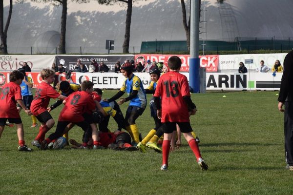 Premi per vedere l'immagine alla massima grandezza