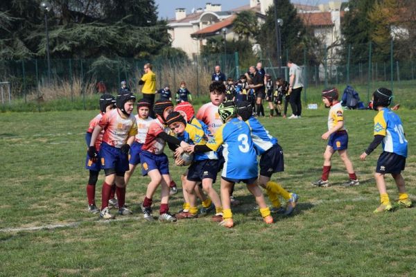 Premi per vedere l'immagine alla massima grandezza