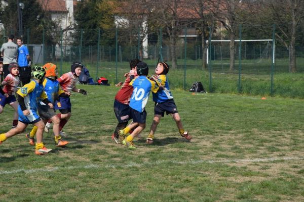 Premi per vedere l'immagine alla massima grandezza