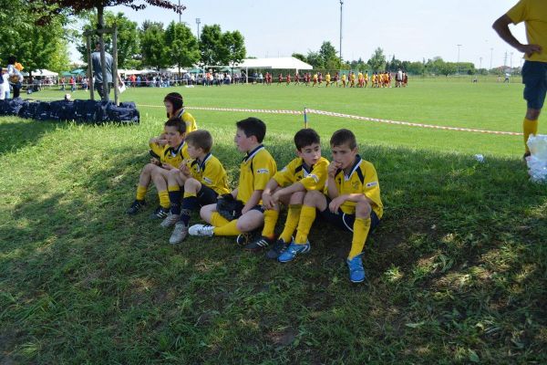 Premi per vedere l'immagine alla massima grandezza