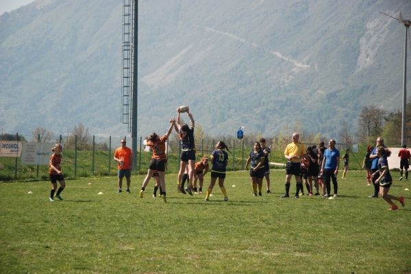 Premi per vedere l'immagine alla massima grandezza