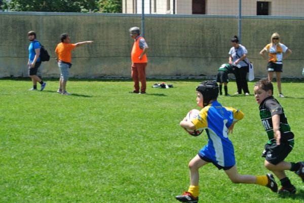 Premi per vedere l'immagine alla massima grandezza