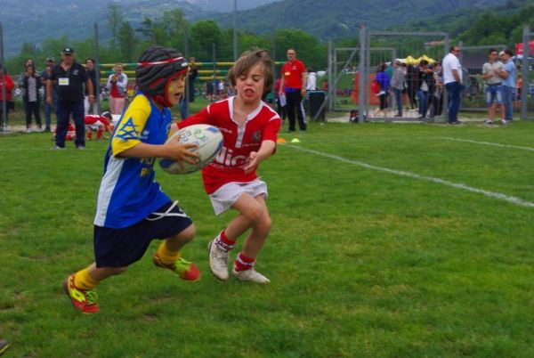 Premi per vedere l'immagine alla massima grandezza