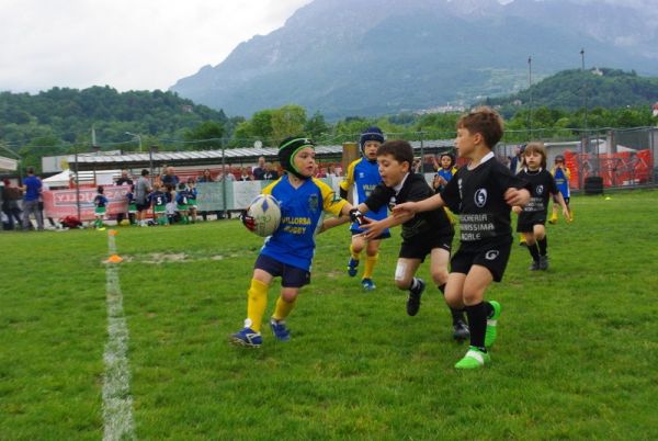 Premi per vedere l'immagine alla massima grandezza