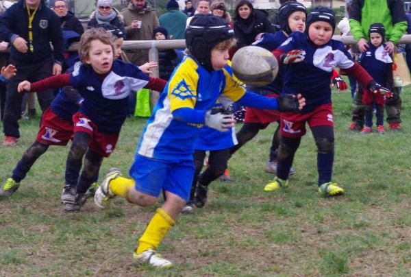 Premi per vedere l'immagine alla massima grandezza