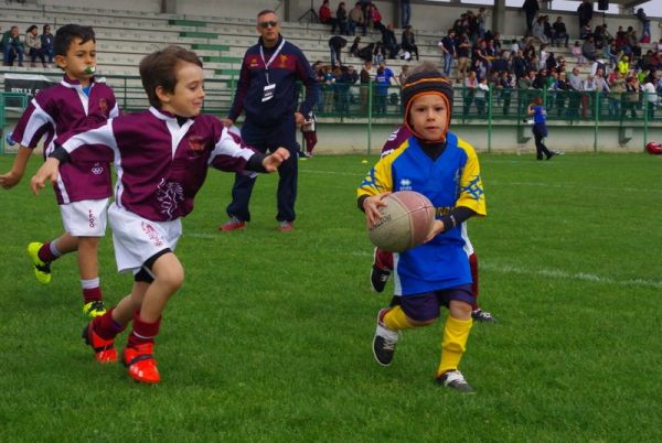 Premi per vedere l'immagine alla massima grandezza