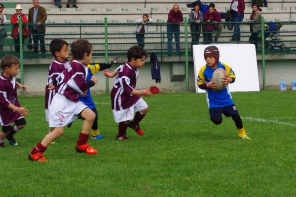 Premi per vedere l'immagine alla massima grandezza