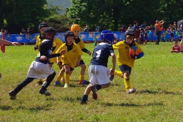 Premi per vedere l'immagine alla massima grandezza