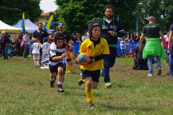 Premi per vedere l'immagine alla massima grandezza