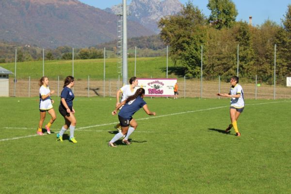 Premi per vedere l'immagine alla massima grandezza