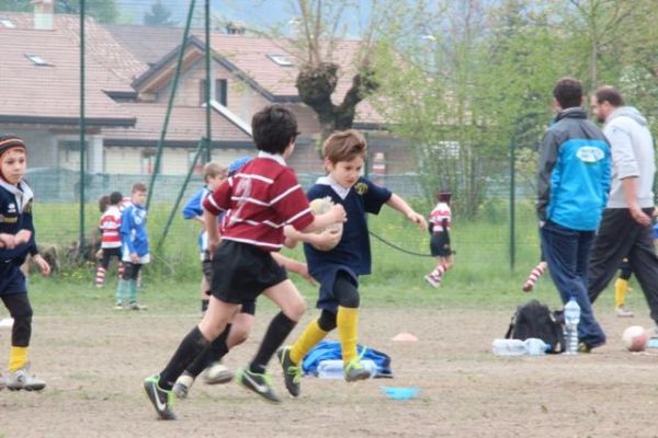 Premi per vedere l'immagine alla massima grandezza