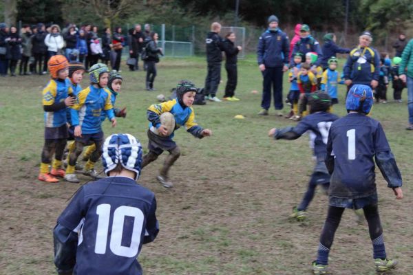 Premi per vedere l'immagine alla massima grandezza