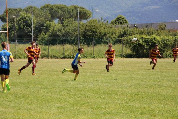 Premi per vedere l'immagine alla massima grandezza