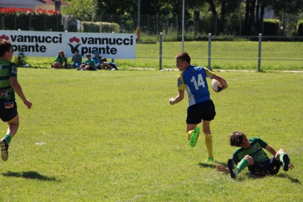 Premi per vedere l'immagine alla massima grandezza