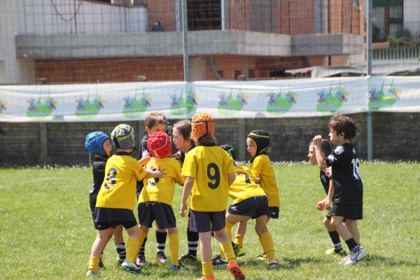 Premi per vedere l'immagine alla massima grandezza