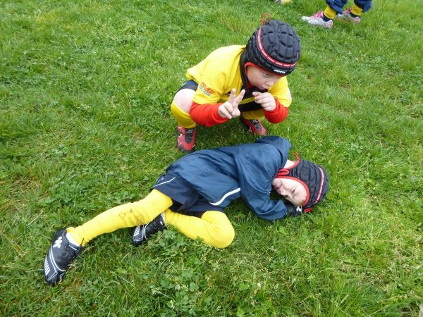 Premi per vedere l'immagine alla massima grandezza