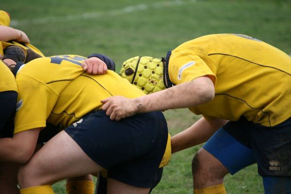 Premi per vedere l'immagine alla massima grandezza