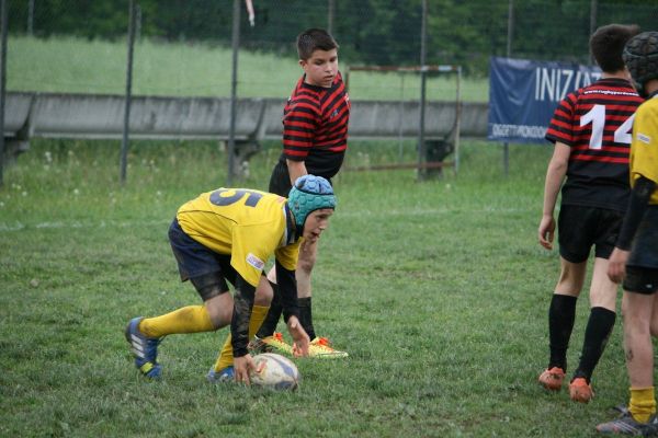 Premi per vedere l'immagine alla massima grandezza