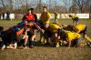 Nome del file=1400464_461980823912584_2026537161_o.jpg
Dimensione del file=477KiB
Dimensioni=2048x1371
Aggiunta il=Dic 03, 2013 1400464_461980823912584_2026537161_o.jpg