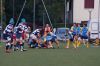 Nome del file=DSC05977.jpg
Dimensione del file=241KiB
Dimensioni=1200x800
Aggiunta il=Ott 18, 2017 DSC05977.jpg