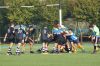 Nome del file=DSC06473.jpg
Dimensione del file=302KiB
Dimensioni=1200x800
Aggiunta il=Ott 18, 2017 DSC06473.jpg