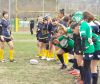 DSCF0540.JPG