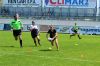 Nome del file=DSC_0401.JPG
Dimensione del file=227KiB
Dimensioni=1024x682
Aggiunta il=Giu 03, 2019 DSC_0401.JPG